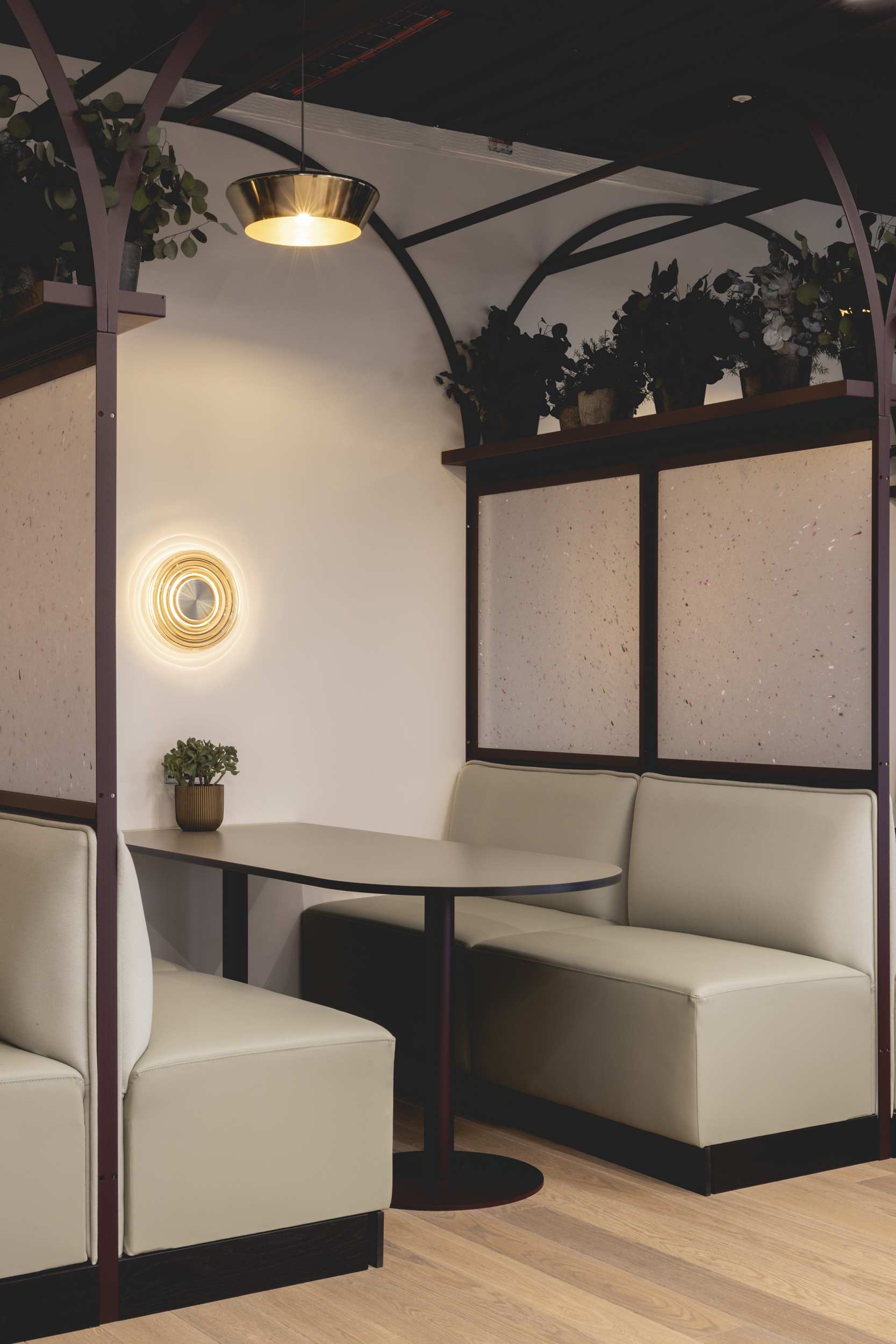 Smile Plastics Spectra bij Cognizant